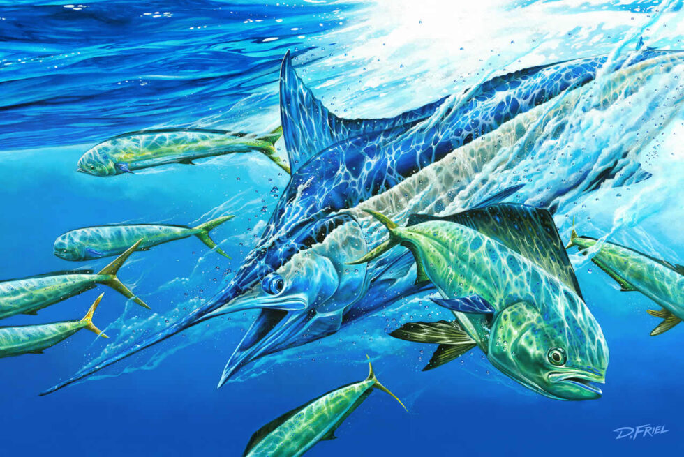 D. Friel | Award Winning Artist